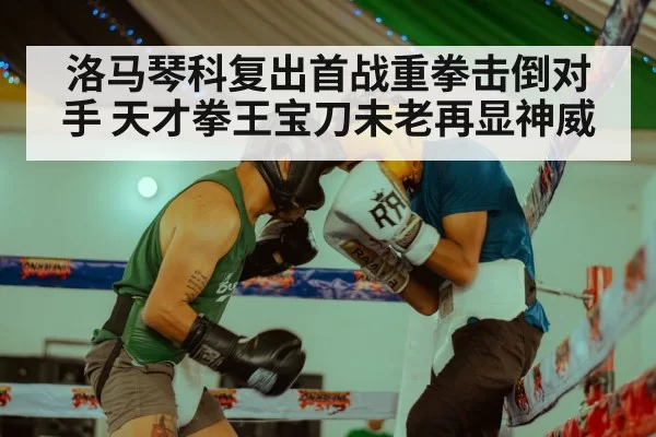 洛马琴科复出首战重拳击倒对手 天才拳王宝刀未老再显神威